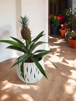 Ananas z prawdziwym owocem. Latwy w utrzymaniu do biura restauracji salonu