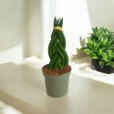 Sansevieria CYLINDRICA Język Teściowej Wężownica RURKI WARKOCZ