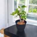 Osłonka MOZA 18 cm tworzywo sztuczne czarny