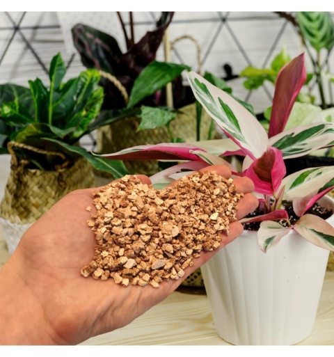 Biovita Wermikulit ogrodniczy 1-5mm 1l